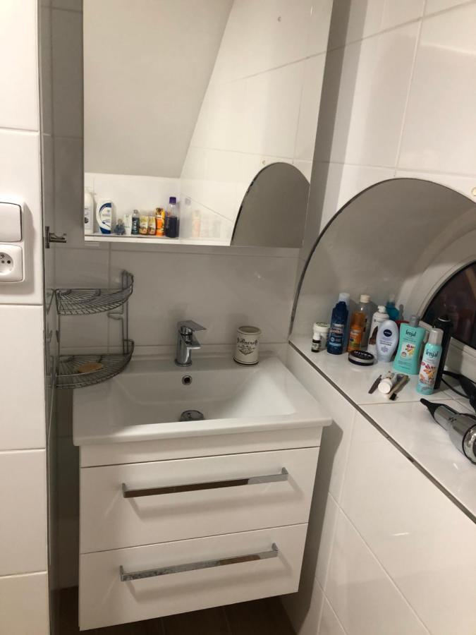 Ubytovani V Soukromi Rodinne Vily V Decine Exteriör bild