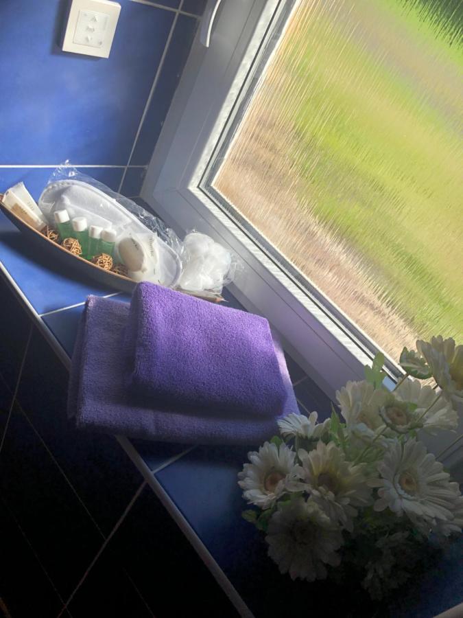 Ubytovani V Soukromi Rodinne Vily V Decine Exteriör bild