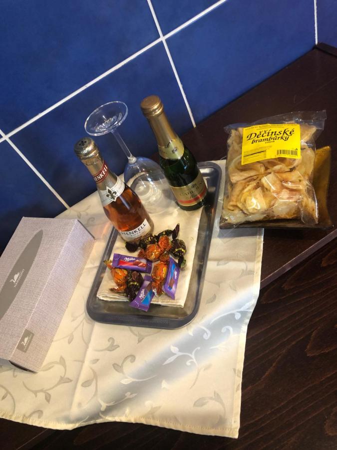 Ubytovani V Soukromi Rodinne Vily V Decine Exteriör bild